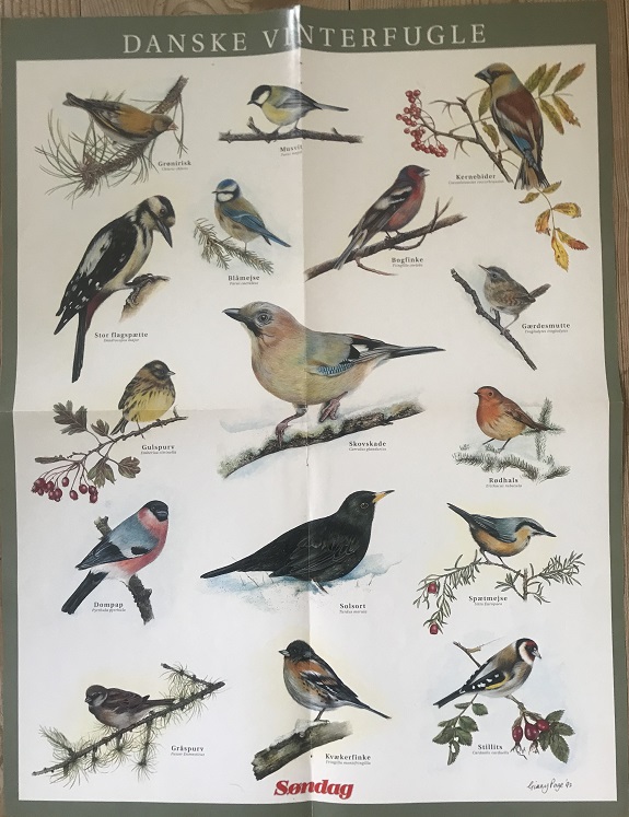 Ginny Page the poster - Danish Winter Birds - 1992